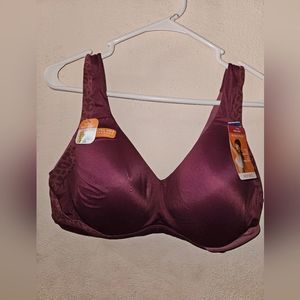 NWT Warners XL purple sports bra💜